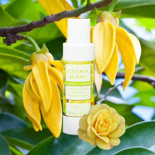 Crema Mani Rosa e Ylang Ylang 100ml