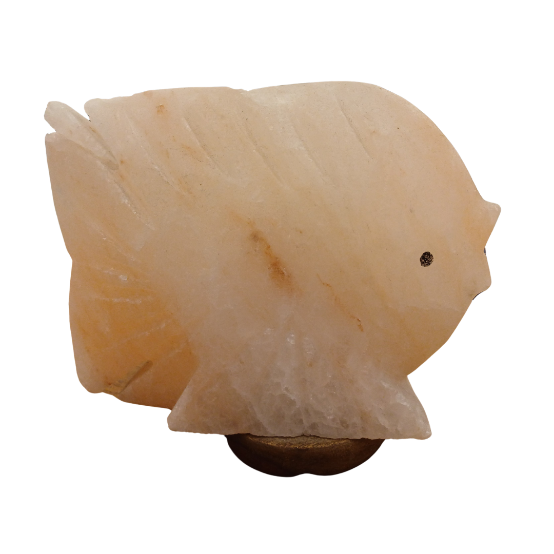 Lampada di Sale Rosa dell'Himalaya Pesce